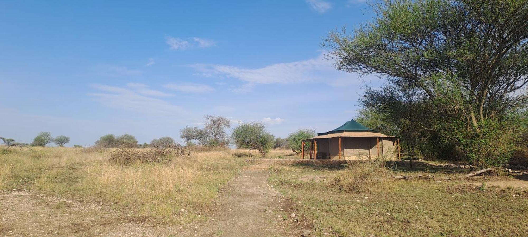 House Of Nature Serengeti-Savanne Exterior foto